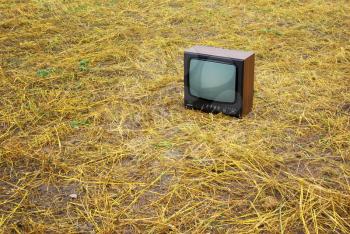 TV on the meadow. Element of design.