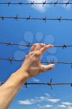 Hand of prison and sky background. Conceptual scene.