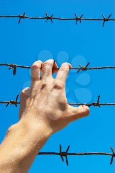 Hand of prison and sky background. Conceptual scene. 