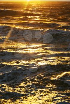 Golden sea waves. Nature composition.