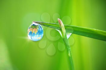 Planet Earth in dew, macro on leaf. Conceptual design. Elements of this image furnished by NASA.