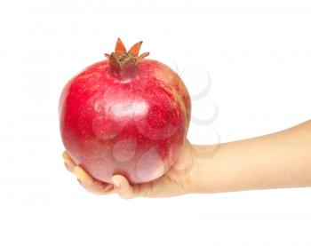 Isolated pomegranate on kid hand. Isolated object. Element of design.