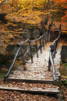 Bridge over river in autumn forest. Nature composition.