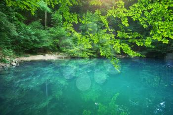 Forest and calm blue lake. Deep natural landscape. 