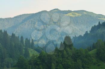 Mountain aerial morning landscape. Composition of nature.