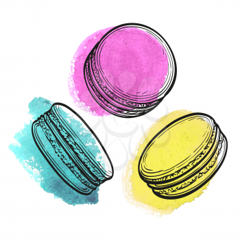 Hand drawn vector illustration of macaroons. Pastry sweets collection.  Watercolor background. Isolated on white.