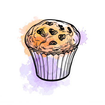 Hand drawn vector illustration of muffin with raisins. Watercolor background. Isolated on white. 