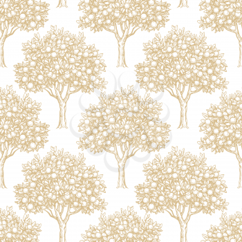 Seamless pattern with orange trees on white background. Hand drawn vector illustration. Retro style.