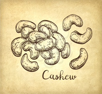 Handful of cashews. Vector illustration of nuts on old paper background. Vintage style.
