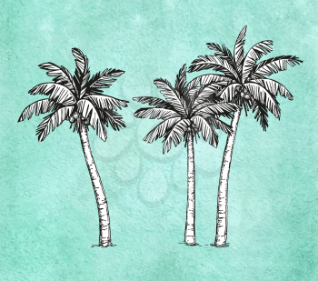 Hand drawn vector illustration of coconut palm trees. Old paper background. Ink sketch. Retro style.