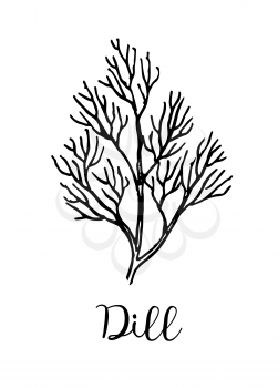 Dill ink sketch. Isolated on white background. Hand drawn vector illustration. Retro style.