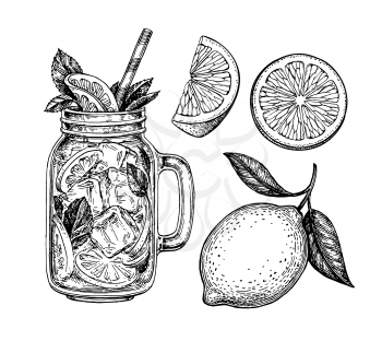 Lemon set. Isolated on white background. Hand drawn vector illustration. Retro style ink sketch.