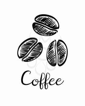 Coffee beans. Ink sketch isolated on white background. Hand drawn vector illustration. Retro style.