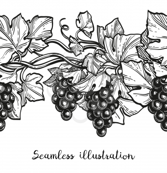 Seamless vector illustration of grapes. Hand drawn ink sketch isolated on white background. Retro style.