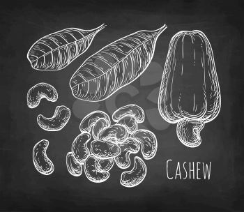 Cashew set. Chalk sketch of nuts on blackboard background. Hand drawn vector illustration. Retro style.