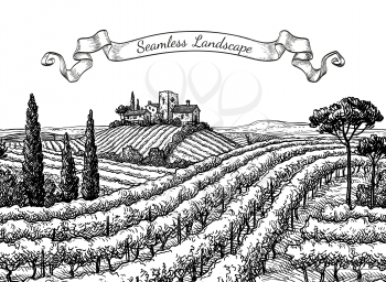 Vineyard seamless landscape. Ink sketch isolated on white background. Hand drawn vector illustration.