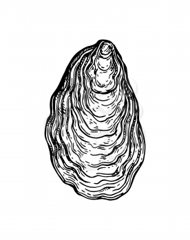 Oyster shell ink sketch. Isolated on white background. Hand drawn vector illustration. Retro style.