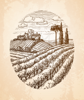 Hand drawn vineyard landscape. Ink sketch on old paper background. Vintage style vector illustration.