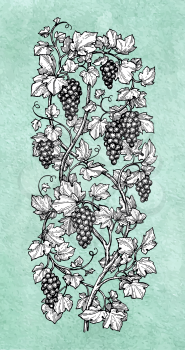 Hand drawn vector illustration of vertical grape vine. Ink sketch on old paper background.