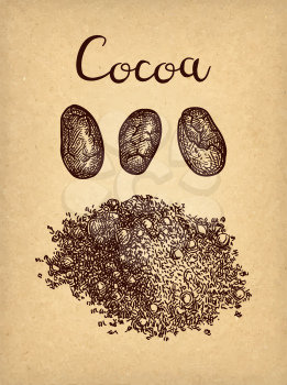 Cocoa powder. Ink sketch on old paper background. Hand drawn vector illustration. Retro style. 