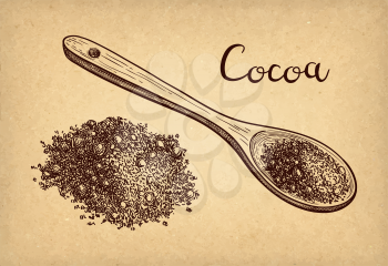 Cocoa powder. Ink sketch on old paper background. Hand drawn vector illustration. Retro style. 