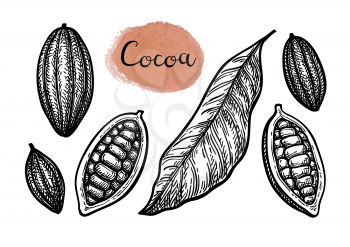 Cocoa set. Ink sketch isolated on white background. Hand drawn vector illustration. Retro style.