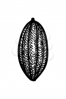 Cocoa pod. Ink sketch isolated on white background. Hand drawn vector illustration. Retro style.