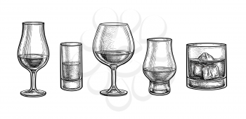 Whiskey glasses big set. Ink sketch isolated on white background. Hand drawn vector illustration. Retro style.