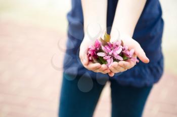 The girl holds beautiful flowers in hands. Outdoors