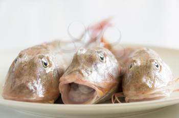 Fresh fish  with red scales  open mouth on white plate close up