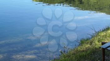 Shot of lake scenic in summer. Blurred nature unfocused background. Lake and forest.