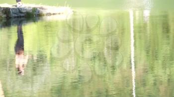 Shot of lake scenic in summer. Blurred nature unfocused background. Lake and forest. People with fishing rods.