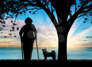 Silhouette of an old woman on crutches and her dog resting under a tree. Concept of disability and old age