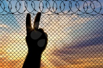 Concept of emotions and feelings. Silhouette refugee arms near the border fence on the sunset background