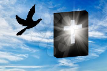 Concept of religion. Silhouette of the books of the Bible in the rays of light and a dove against a beautiful sky