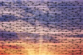 Concept of security. Silhouette of barbed wire against a beautiful sky
