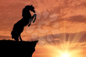 Silhouette of a horse at the edge of the mountains at sunset