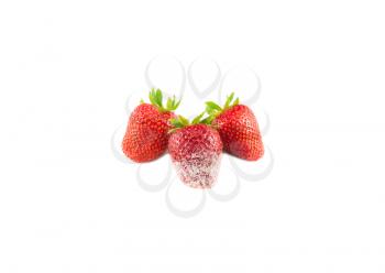 Three strawberries in sugar on a white background