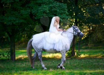  Concept of marriage and emotion. Bride on a horse in the forest