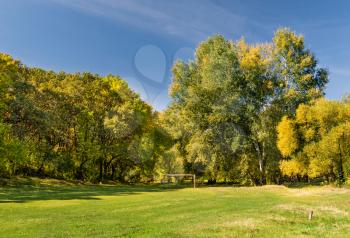 Autumn season. Green meadow in the autumn forest