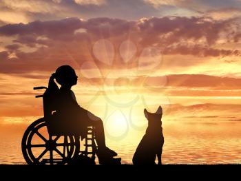 Silhouette of a happy disabled child girl sitting in a wheelchair with her dog looking at a sea sunset. Conceptual image of disabled children