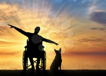 Silhouette of happy disabled man in wheelchair with his dog by the sea enjoying the sunset. The concept of happy people with disabilities