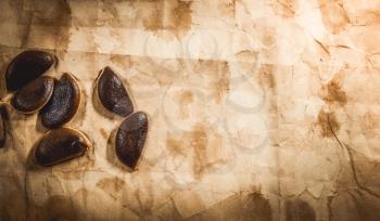 Background with old paper and persimmon seeds.
