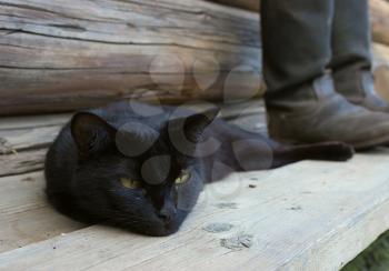 Black cat lying beside tarpaulin boots on a wooden bench. Focus on the boots.