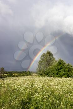 Two bright rainbow over green field in summer.