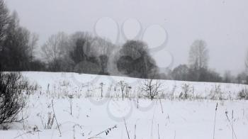 Heavy snowfall in the field. In the background is abandoned buildings and trees.