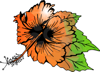 Hibiscus flower with leaves. Orange flower, filled with polygons. Drawn by hand. Isolated on white. There is an option in the vector.