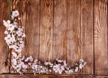 Spring blossom on wood background top view