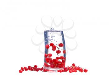 Water with red currants isolated on white