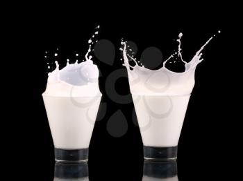 Splash in a glass with milk isolated on black